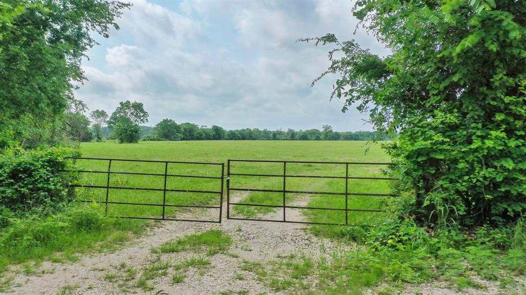 TBD Cr 3510 Road, Lovelady, Texas image 2