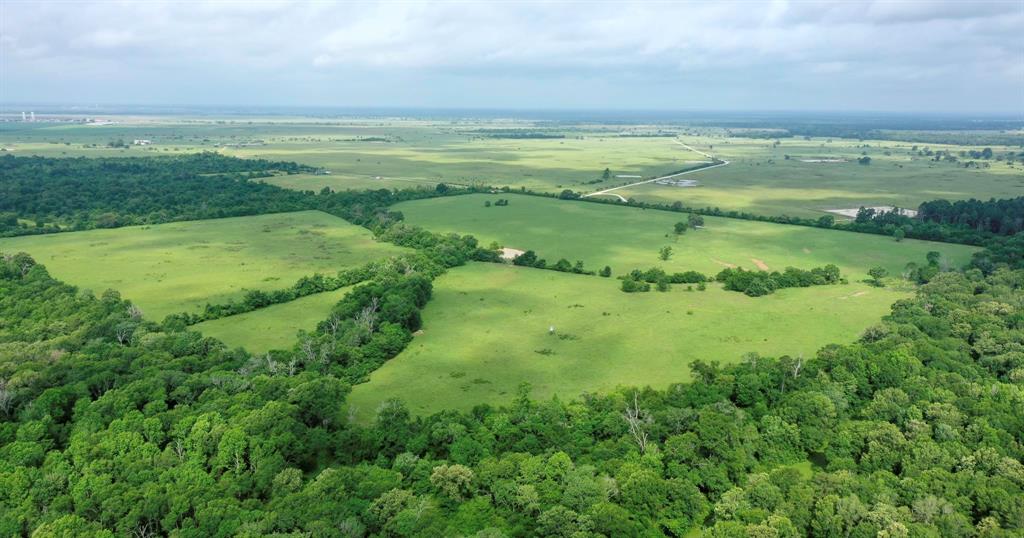 TBD Cr 3510 Road, Lovelady, Texas image 5