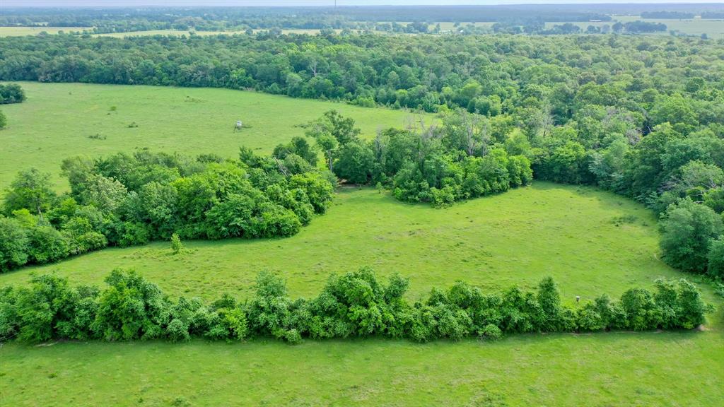 TBD Cr 3510 Road, Lovelady, Texas image 17