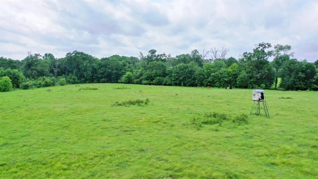 TBD Cr 3510 Road, Lovelady, Texas image 15