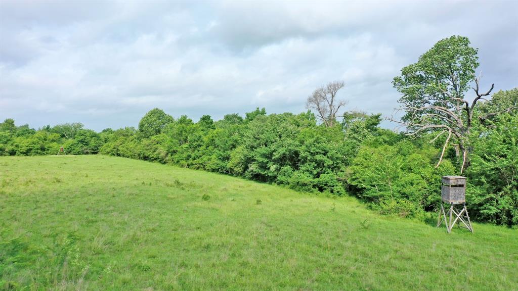 TBD Cr 3510 Road, Lovelady, Texas image 20