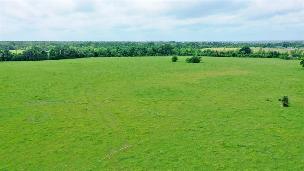 TBD Cr 3510 Road, Lovelady, Texas image 9