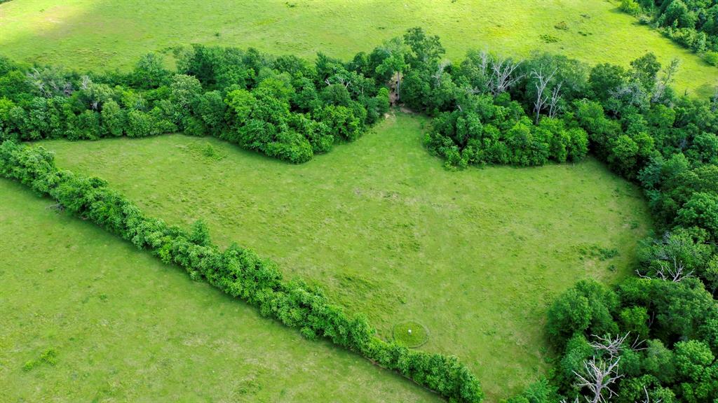 TBD Cr 3510 Road, Lovelady, Texas image 18