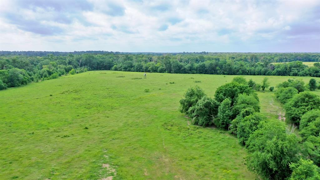 TBD Cr 3510 Road, Lovelady, Texas image 14