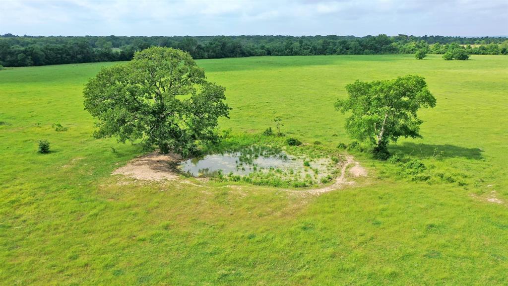 TBD Cr 3510 Road, Lovelady, Texas image 11