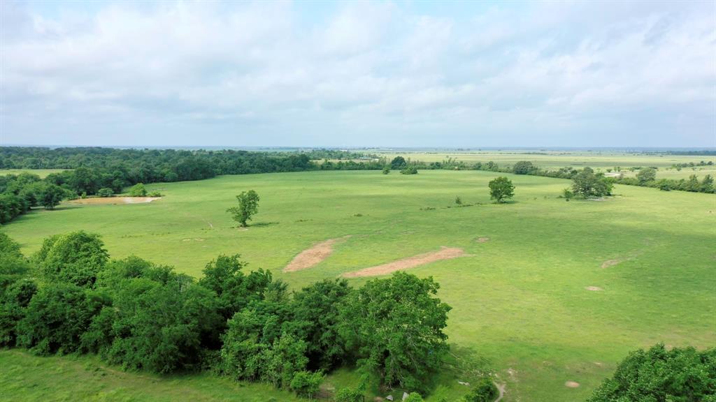 TBD Cr 3510 Road, Lovelady, Texas image 8