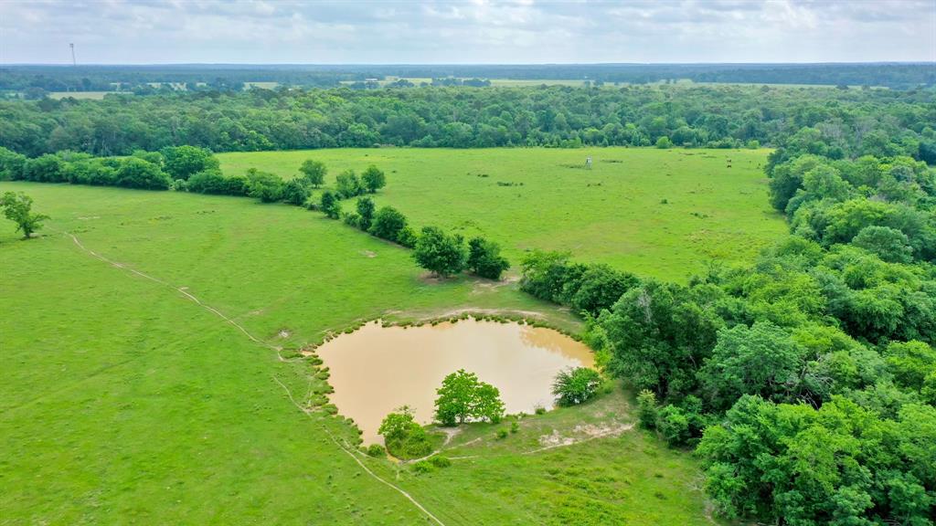 TBD Cr 3510 Road, Lovelady, Texas image 13
