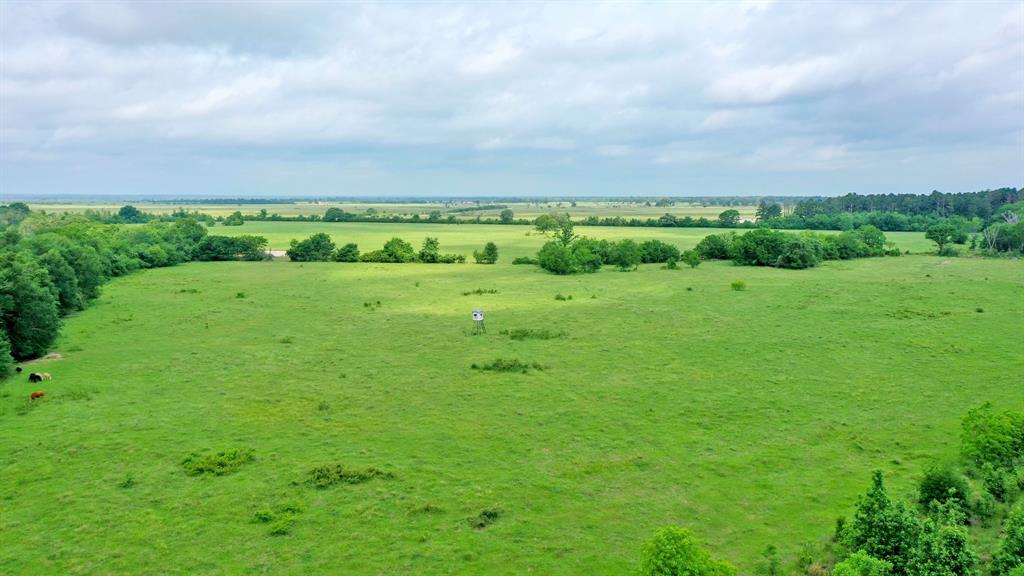 TBD Cr 3510 Road, Lovelady, Texas image 16