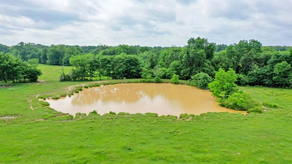 TBD Cr 3510 Road, Lovelady, Texas image 12