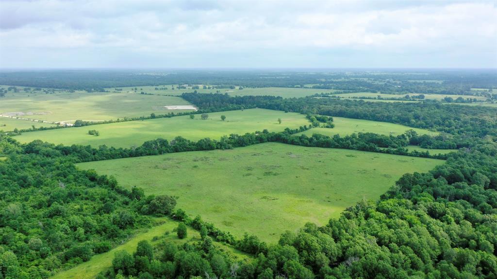 TBD Cr 3510 Road, Lovelady, Texas image 4