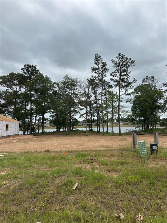 473 Shoreview Drive, Conroe, Texas image 11