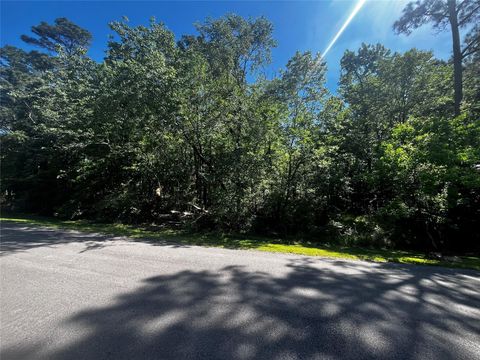 Photo of 70 Wentworth Lane, Coldspring, TX 77331 (MLS # 36598821)