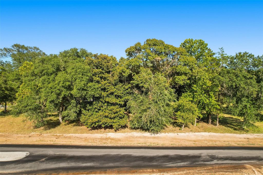 Photo of 2425 Lonely Creek Circle, Montgomery, TX 77316 (MLS # 7708408)