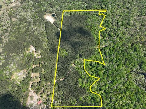 Vacant Land For Sale - Cr 4525<br/> Tyler County, Warren, TX 77664