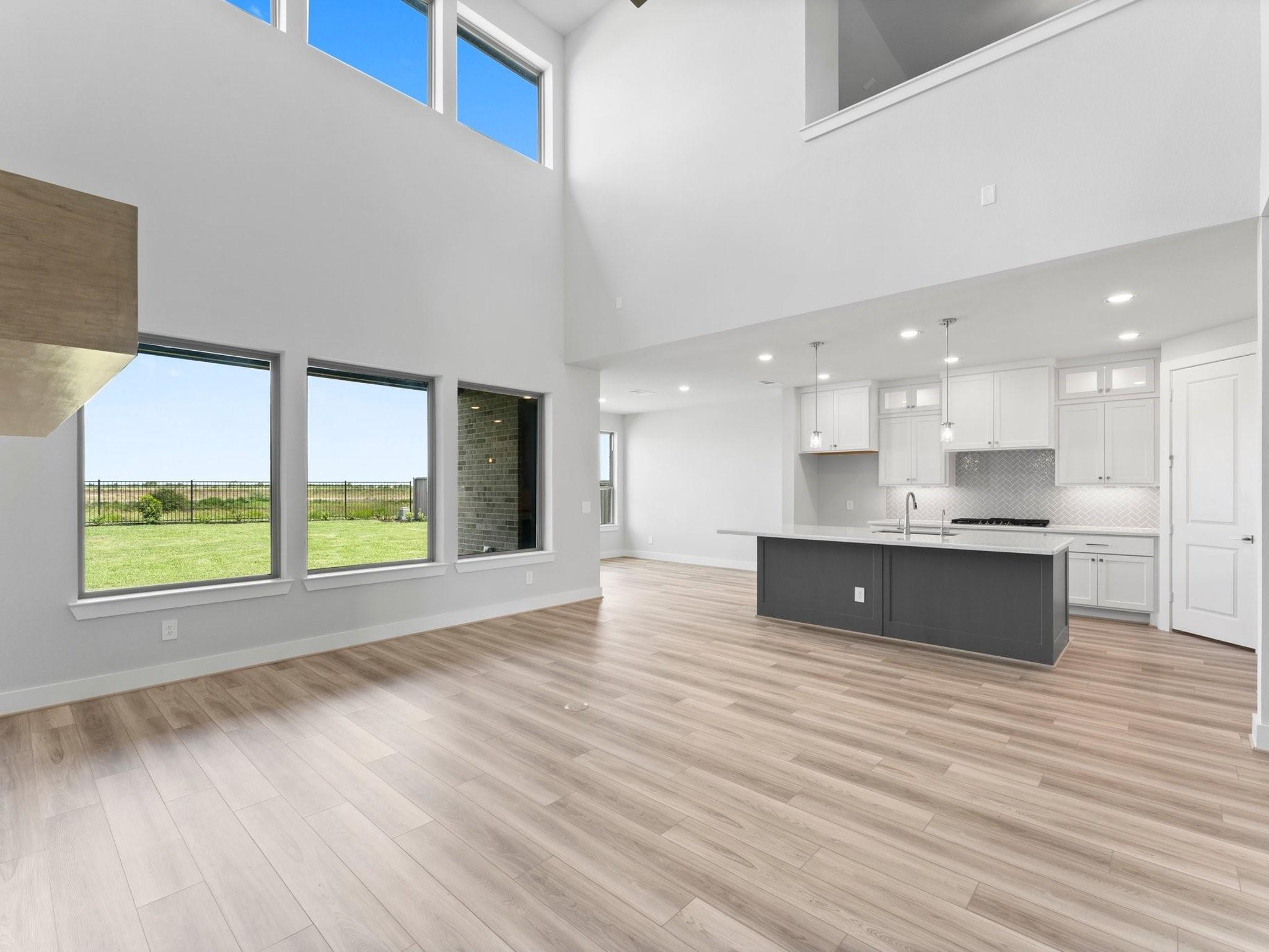 16319 Blue Mistflower Lane