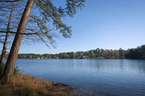 Vacant Land For Sale - Little John Boulevard<br/> Tyler County, Woodville, TX 75979