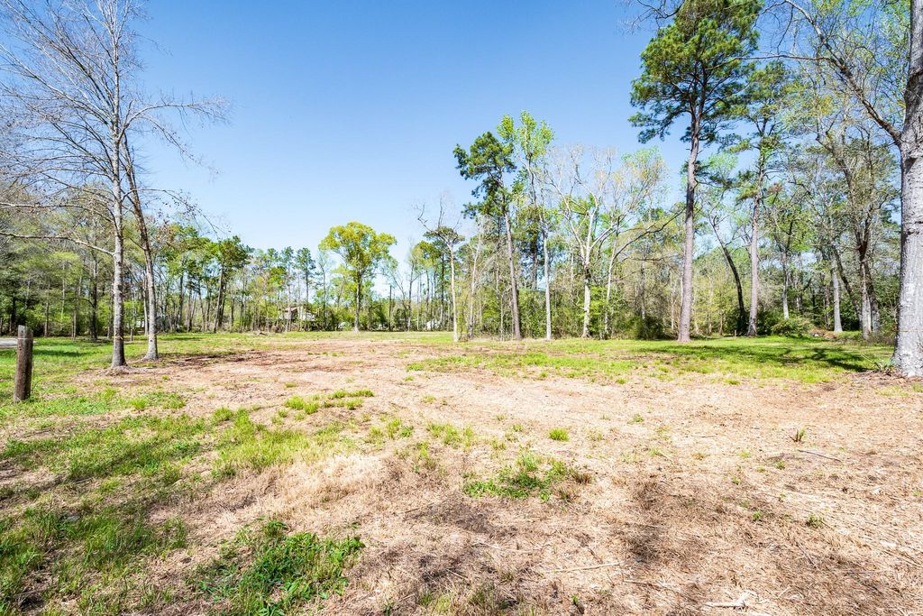 Photo of TBD Thomas Lane, Huffman, TX 77336 (MLS # 24938849)