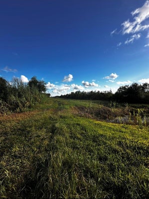 BURR LN, WINNIE, TX 77665 - Image 004e40bae3effdecba36f5eeb8c0469a/3928381789