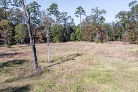 Vacant Land For Sale - 608 County Road 6494<br/> Dayton, TX 77535