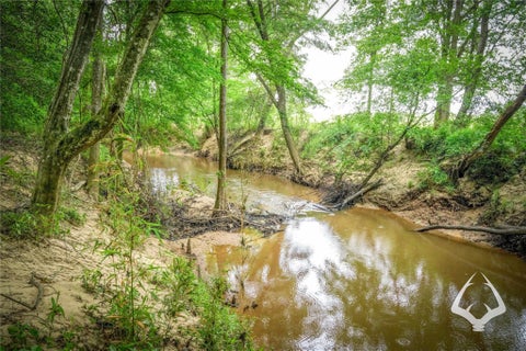 Photo of 0 Dorsey Road RD, Hemphill, TX 75948 (MLS # 33919685)