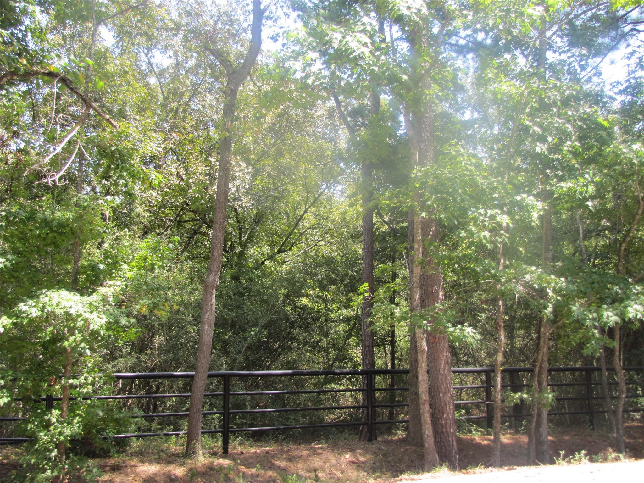 000 Tree Farm Rd