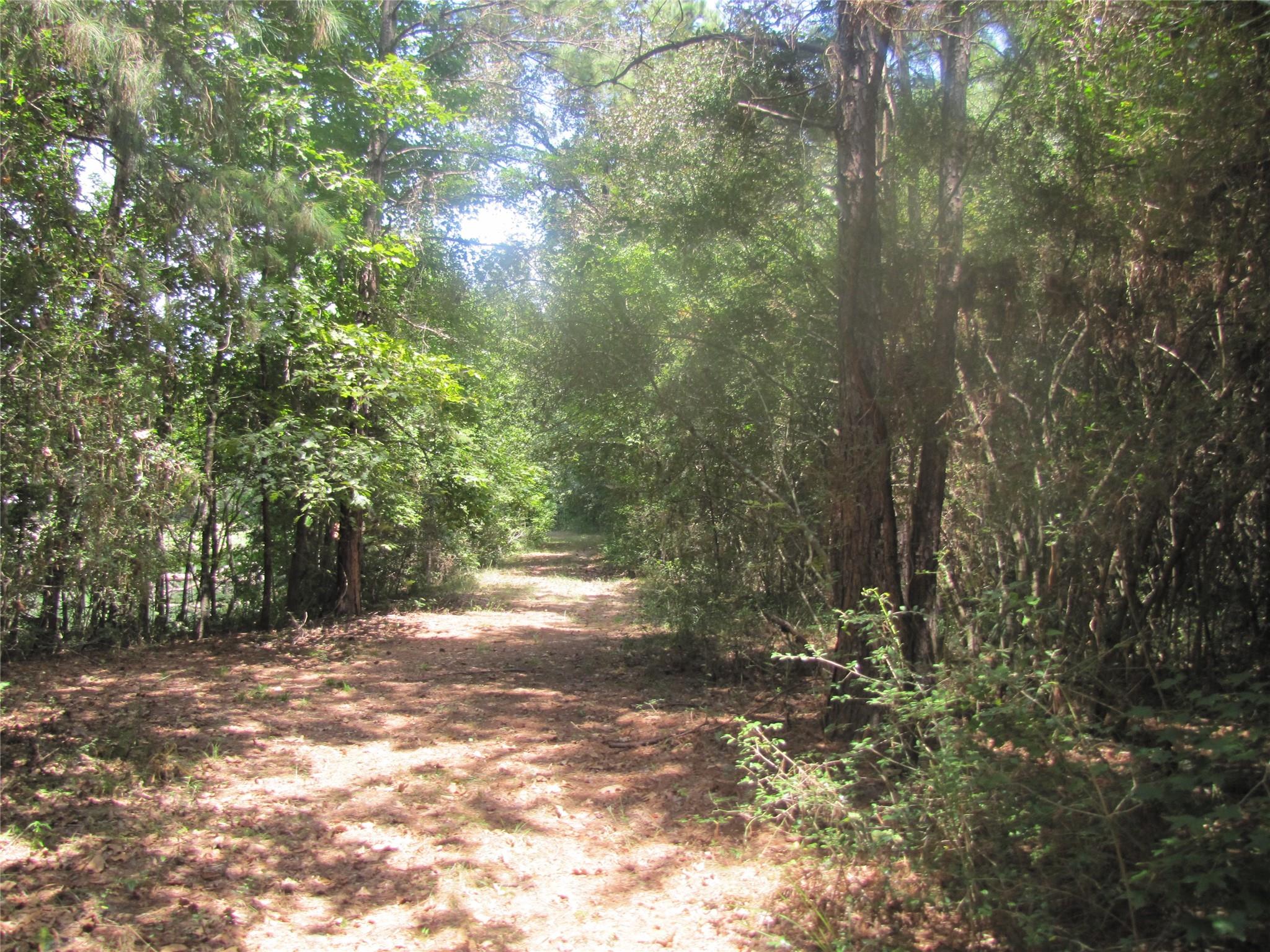 000 Tree Farm Rd