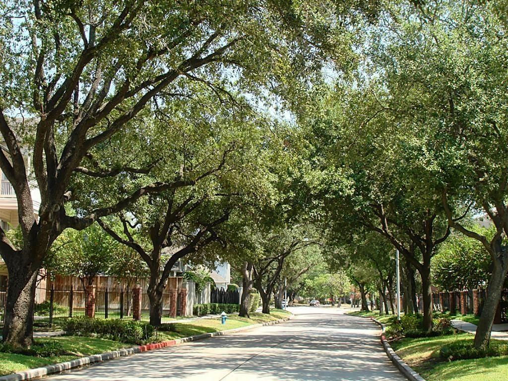 Photo of 4041 Law Street #606, Houston, TX 77005 (MLS # 82773609)