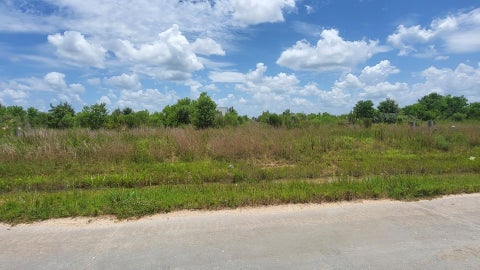 Vacant Land For Sale - 590 Road 5702<br/> Cleveland, TX 77327