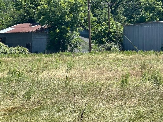 0006 1ST STREET ST, CROCKETT, TX 75835 - Image 00e8a67b02df69ab5eed84caaa423a8c/2718032817