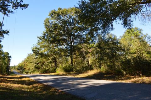 Photo of 10 County Road 302, Plantersville, TX 77363 (MLS # 83286532)