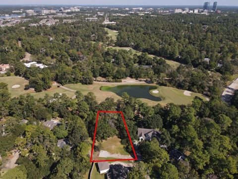 10816 Colony Wood Place Spring TX 77380