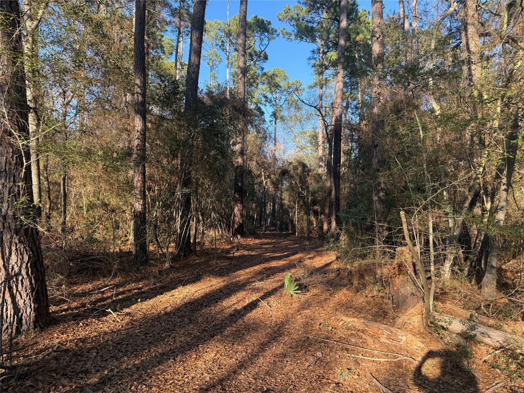 Photo of 6 Deer Ridge Road Road, Bedias, TX 77831 (MLS # 84323548)