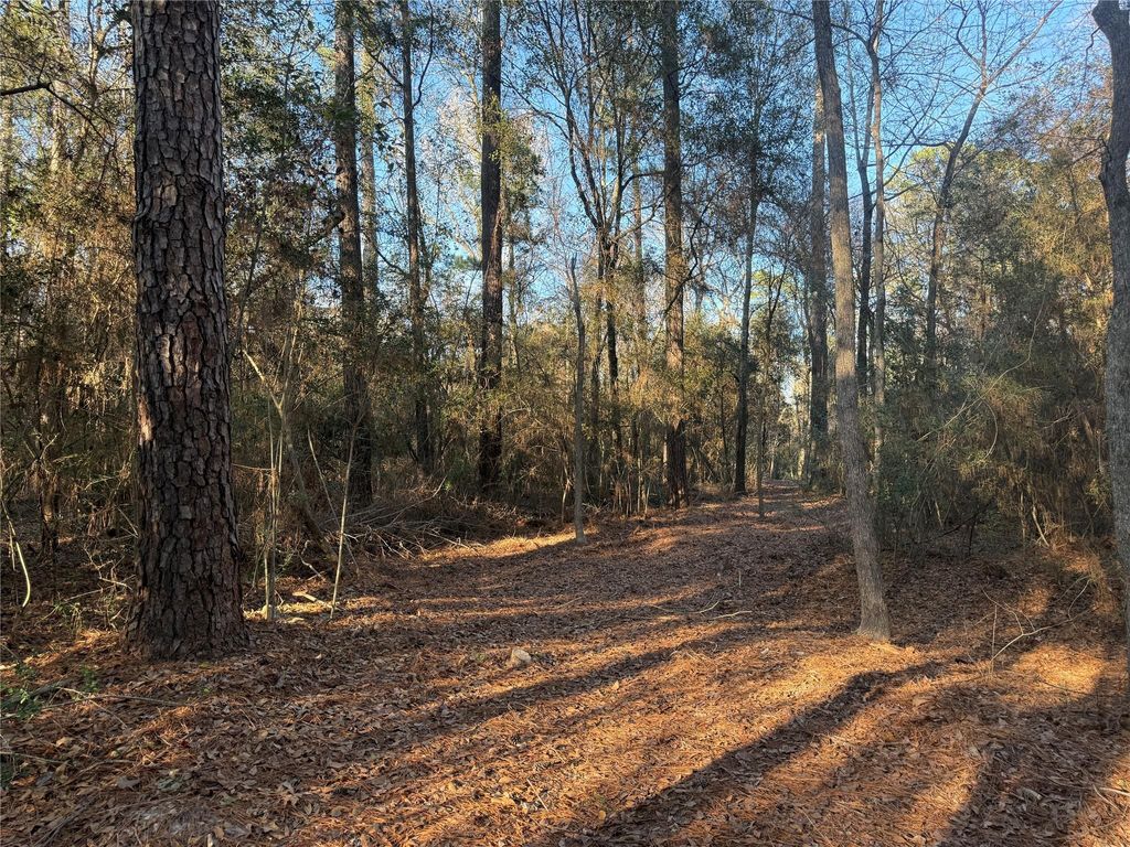 Photo of 6 Deer Ridge Road Road, Bedias, TX 77831 (MLS # 84323548)