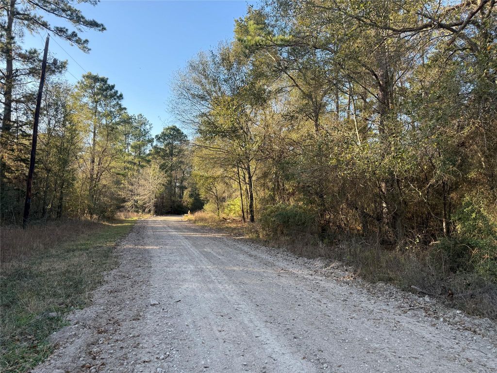 Photo of 6 Deer Ridge Road Road, Bedias, TX 77831 (MLS # 84323548)