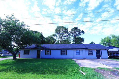 Photo of 1117 County Road 515, Brazoria, TX 77422 (MLS # 61894796)