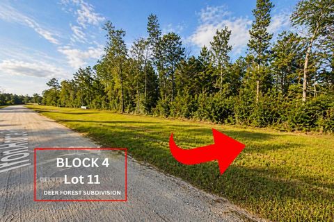 Photo of 305 Iron Horse Road, Willis, TX 77378 (MLS # 14479921)