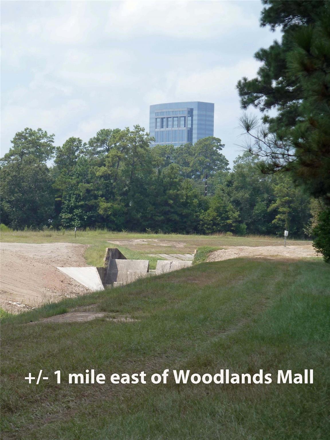 411 Springwood Drive