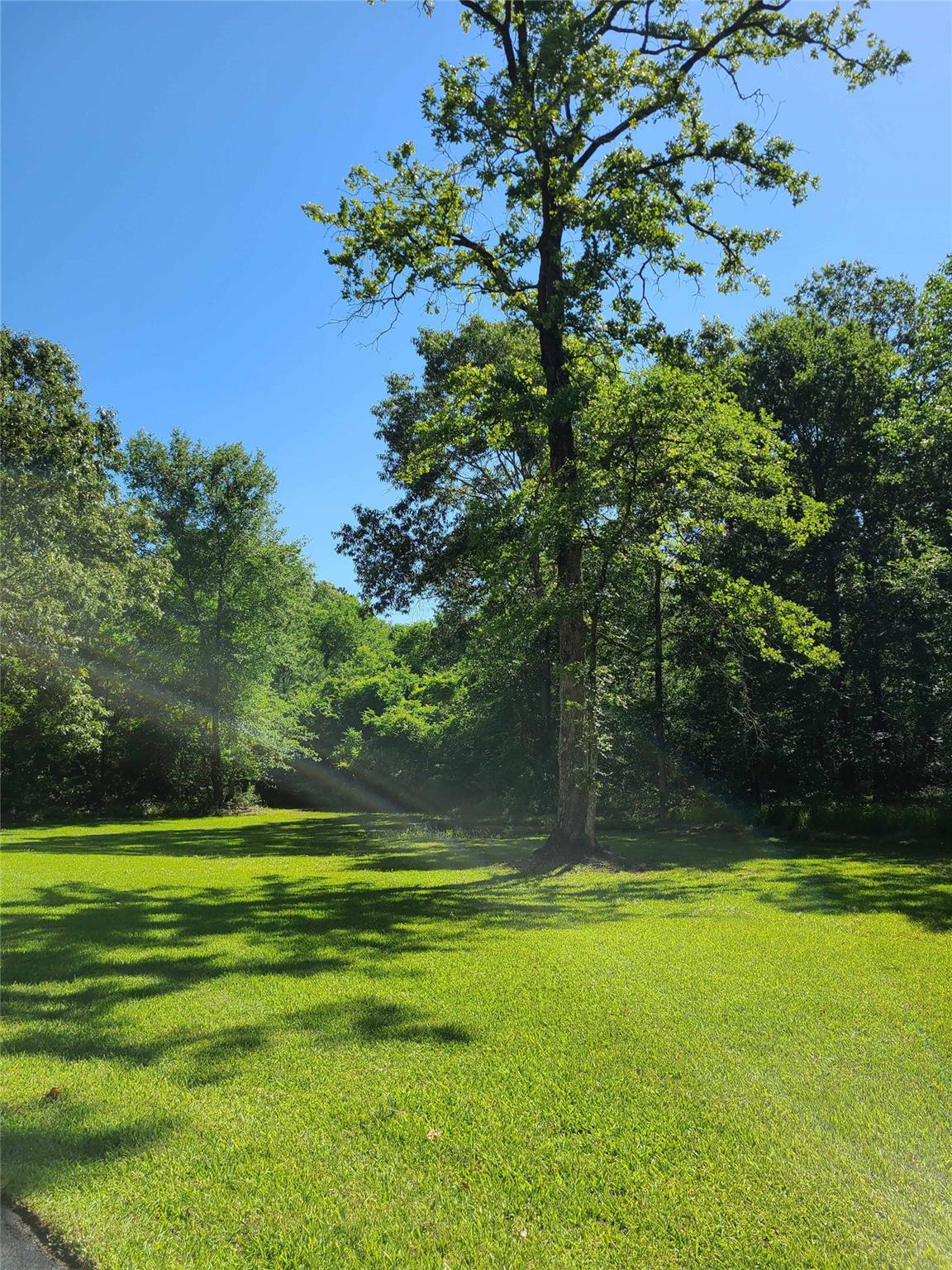 411 Springwood Drive