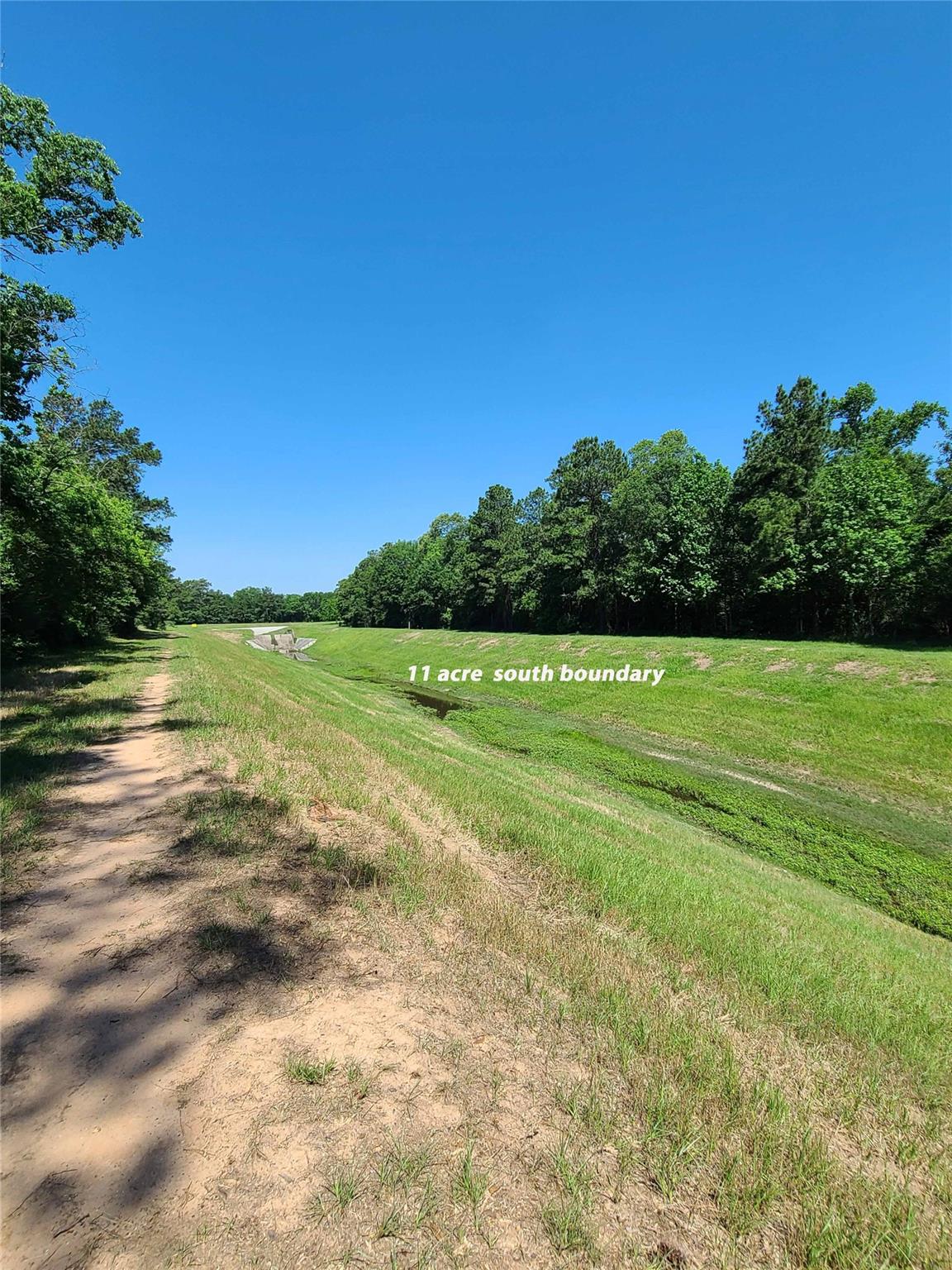 411 Springwood Drive