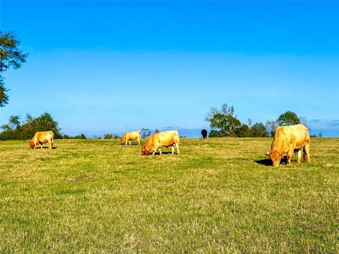 Vacant Land For Sale - 0000 Sh 21<br/> San Augustine, TX 75972