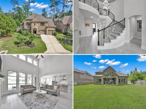 503 Woodsy Pine Court Conroe TX 77304