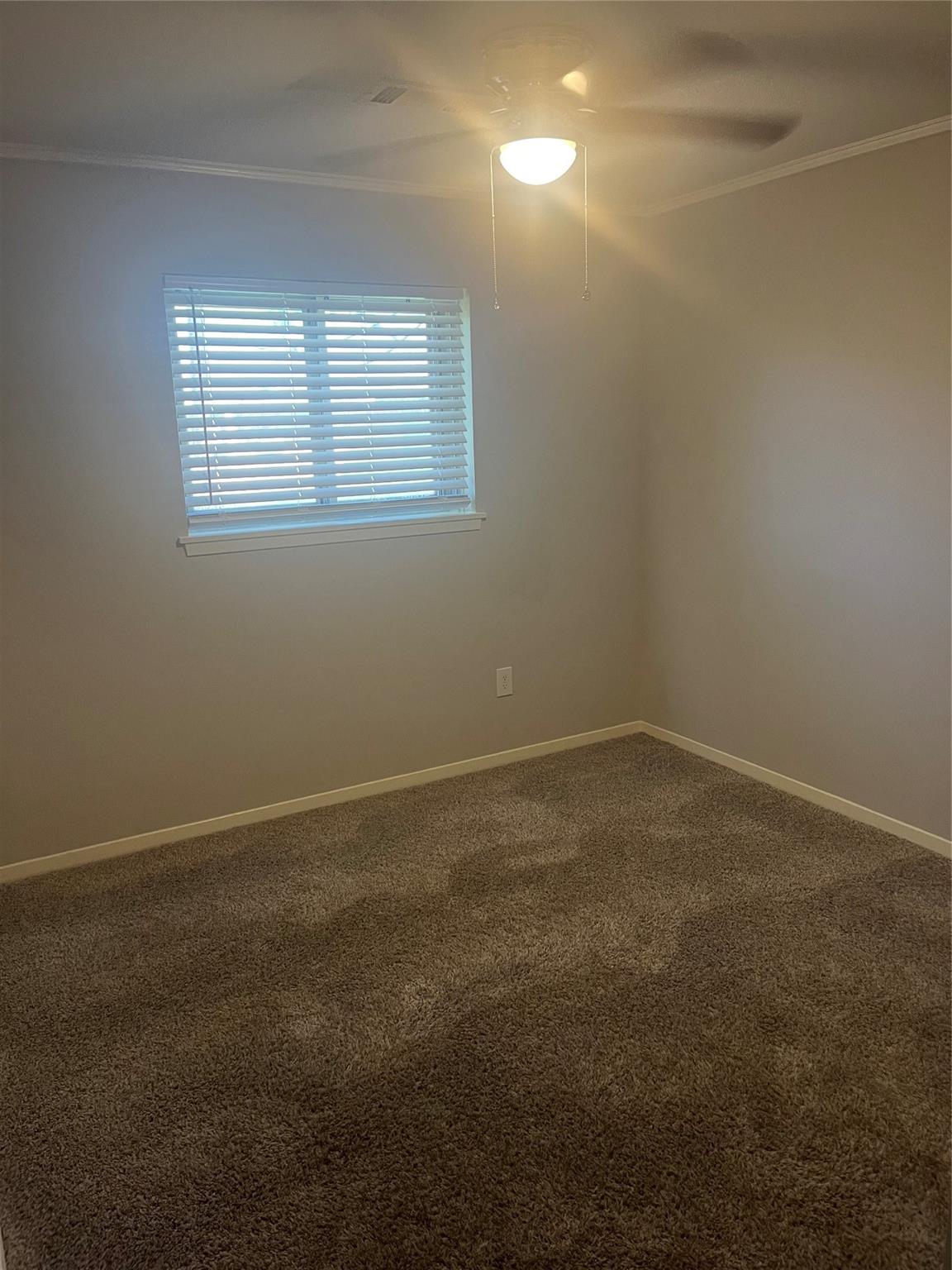 4805 Crepe Myrtle Lane
