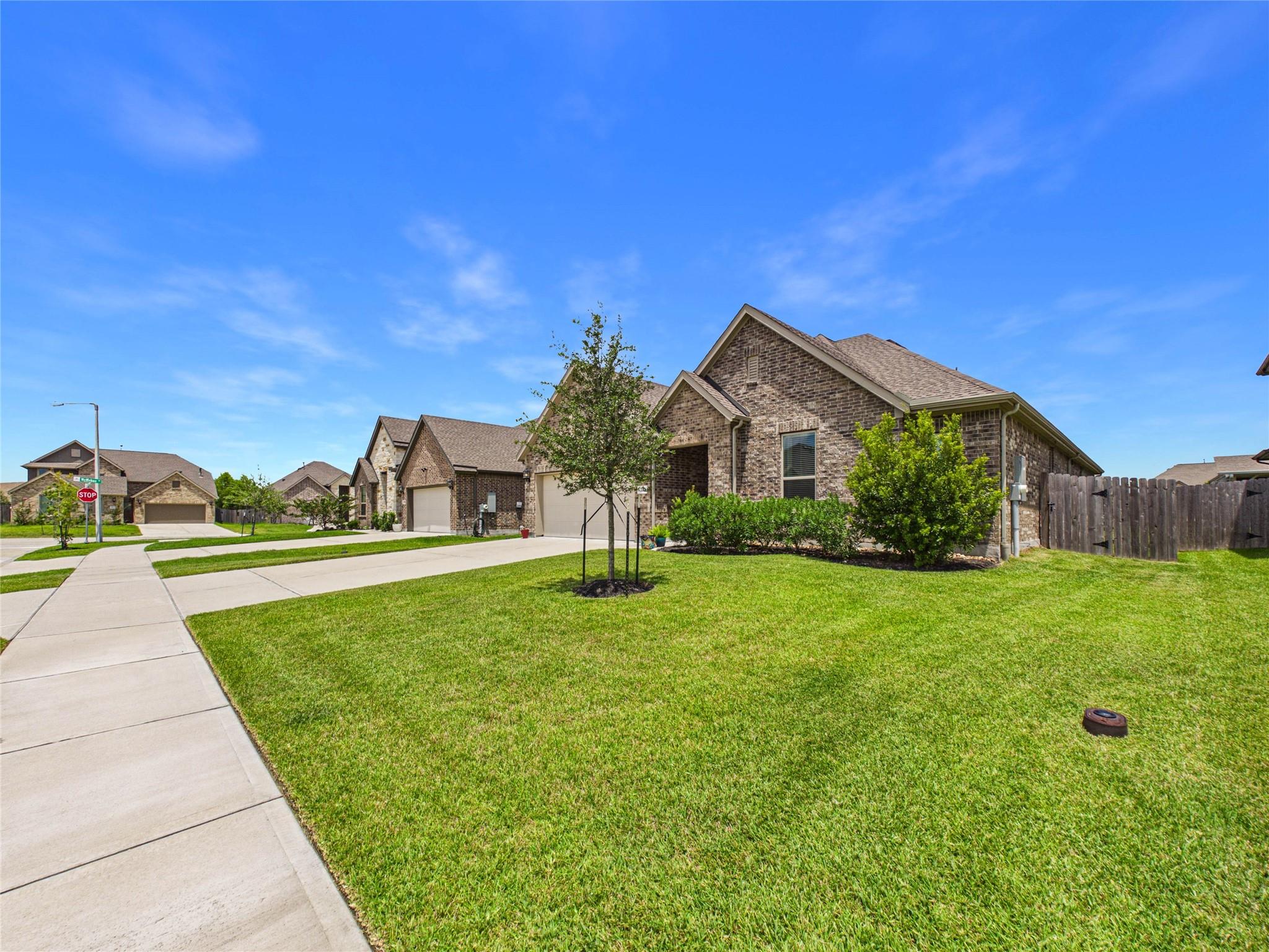 703 Western Holly