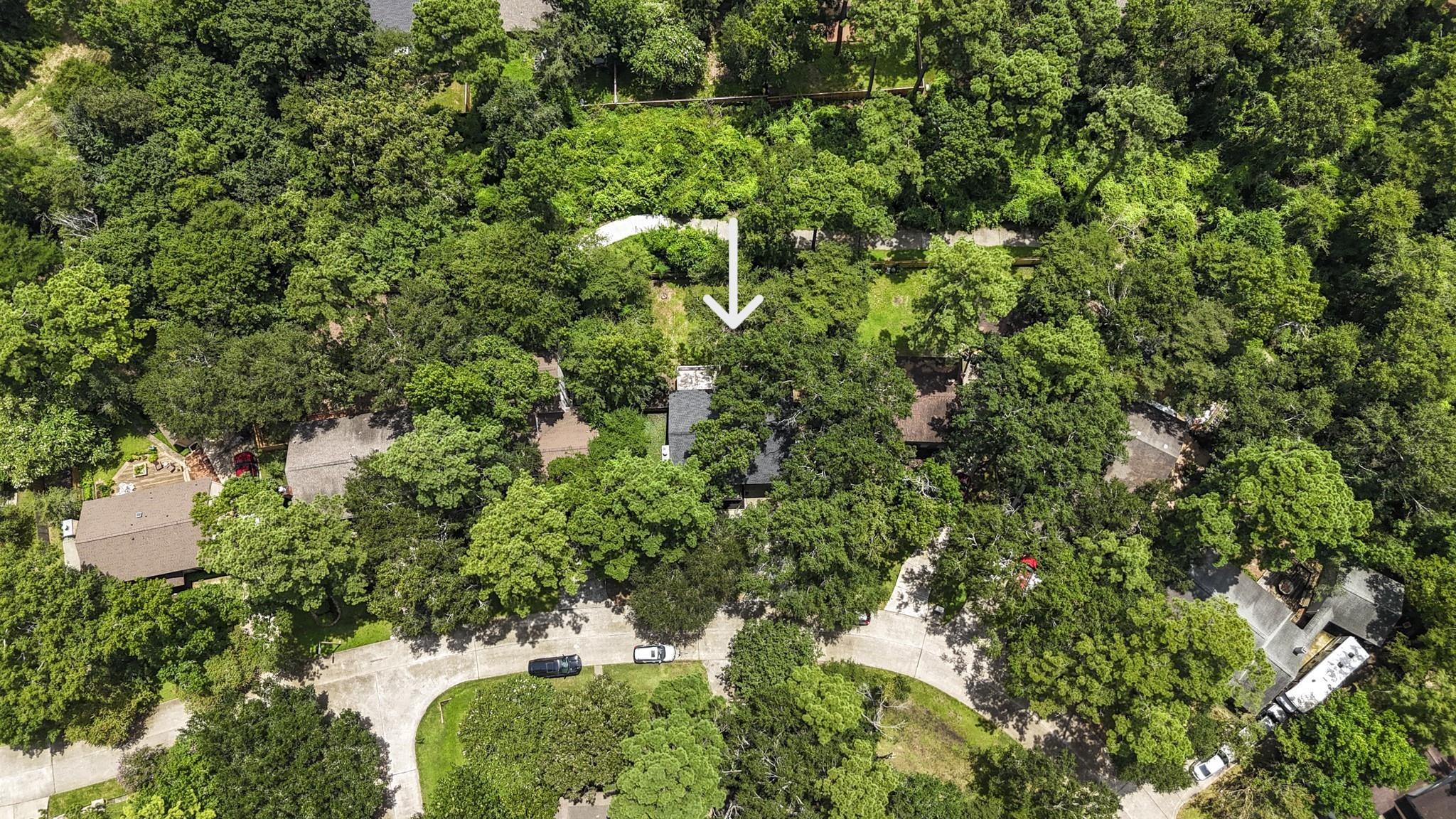 12 S Cypress Pine Drive
