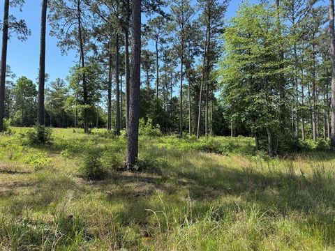 Photo of 6 Private Road 6028 Tract 1-6, Brookeland, TX 75931 (MLS # 55443877)