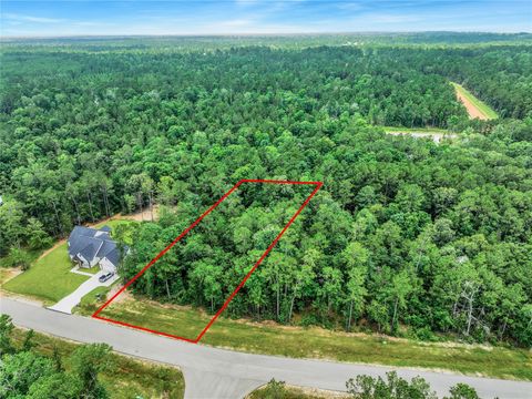 Photo of 103 Eagle Run Road, Willis, TX 77378 (MLS # 28752907)