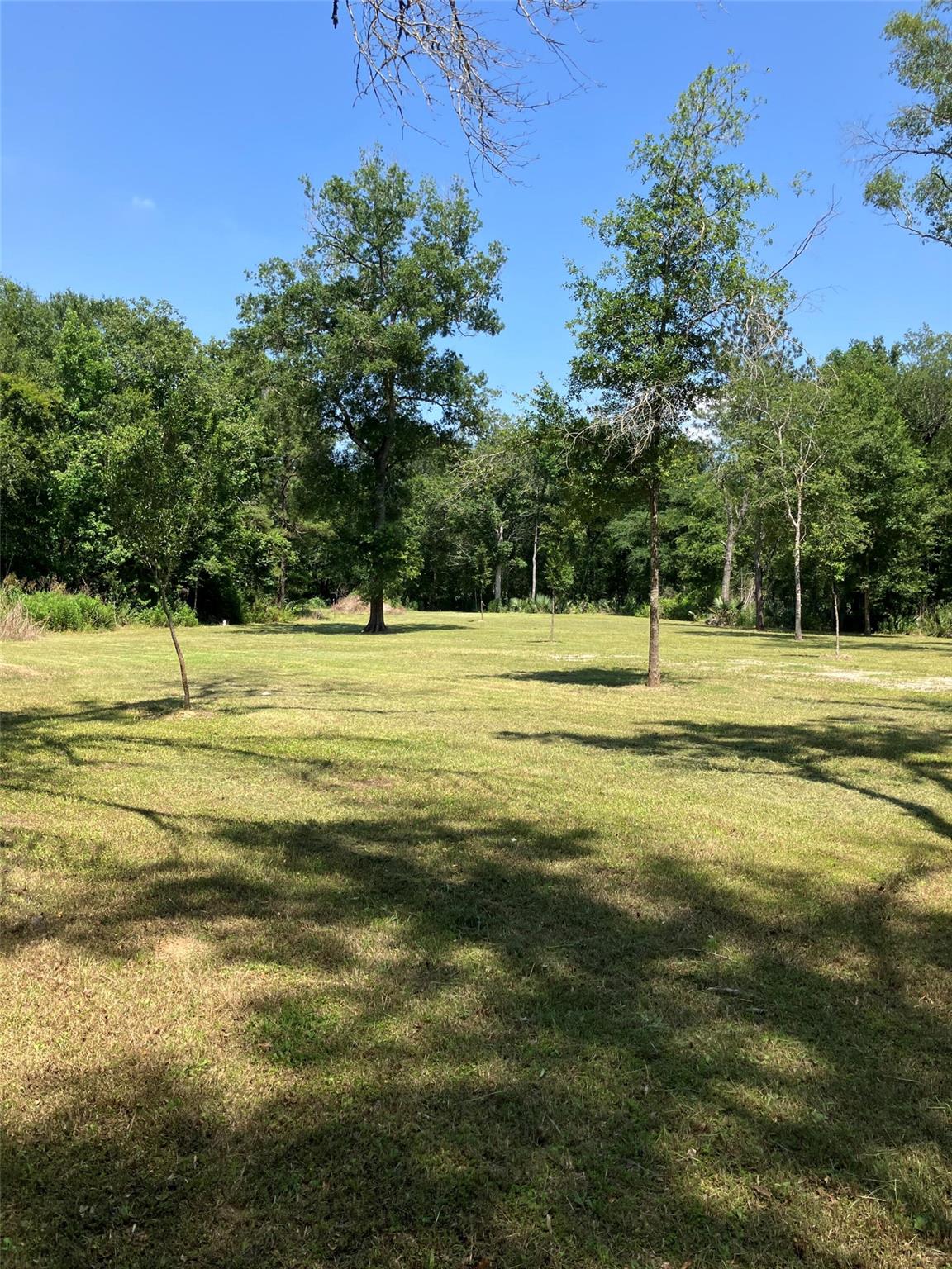 20206 Shady Lane