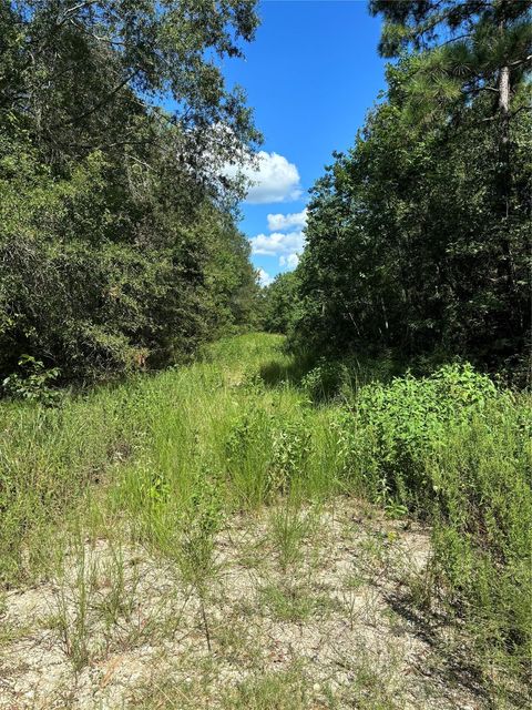 Photo of 43208 Wake Forest, Livingston, TX 77351 (MLS # 54640237)