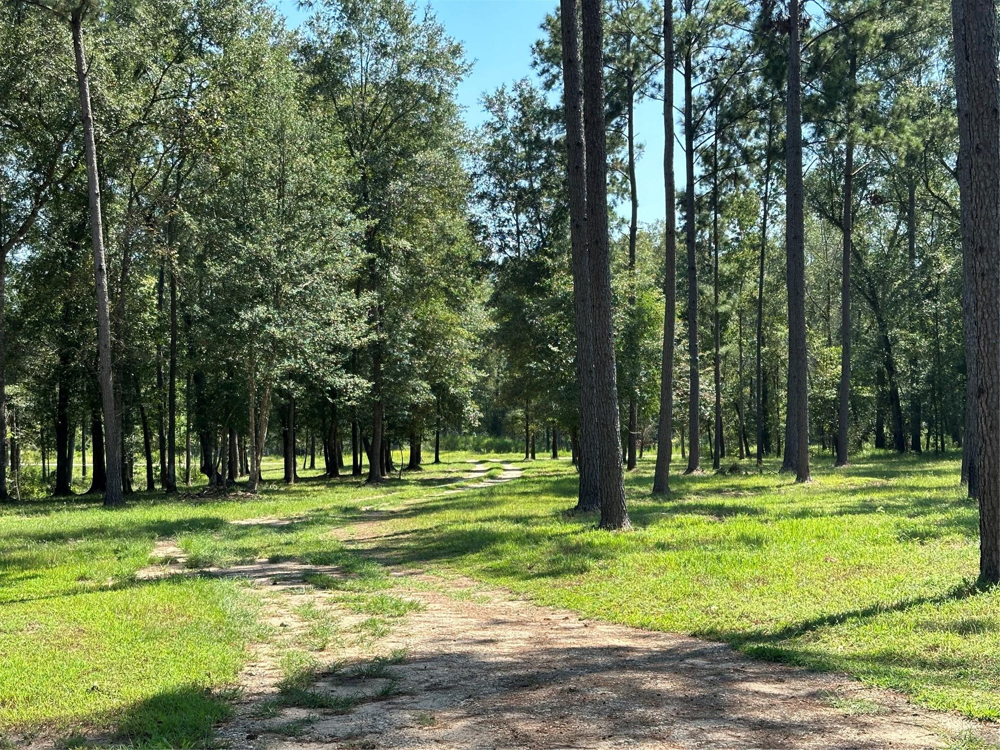 909 Rolling Pines Drive