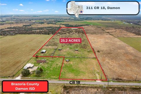 Vacant Land For Sale - 311 County Road 18<br/> Damon, TX 77430